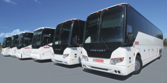 busses